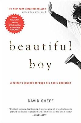 Cover photo of the book Beautiful Boy