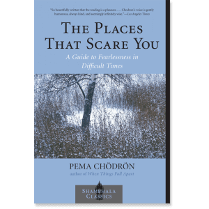 Cover photo of the book The Places That Scare You